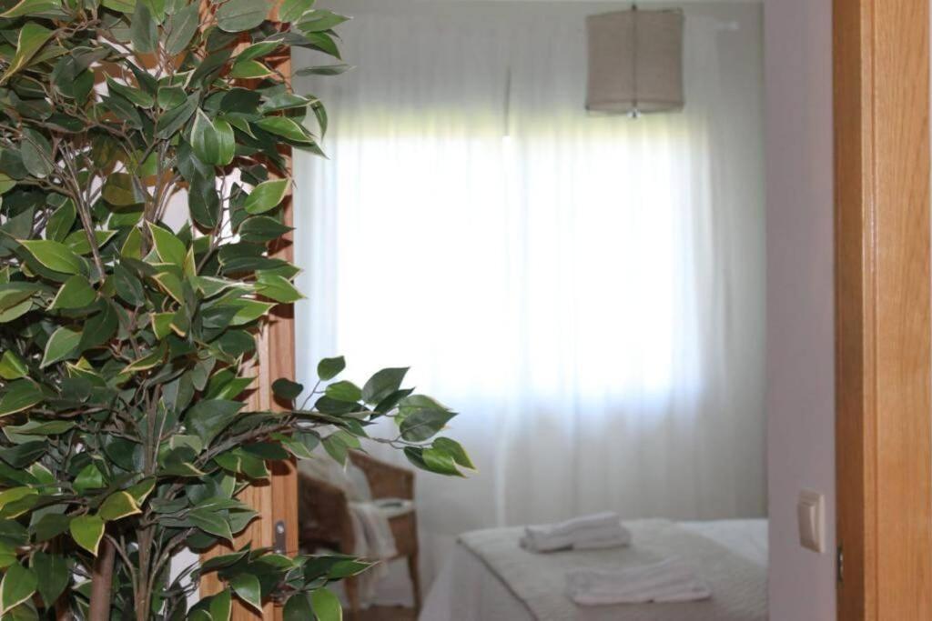 Apartamento Riomar Ribadumia Εξωτερικό φωτογραφία